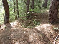 AzumiTayajou (2).JPG