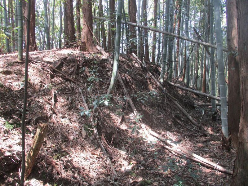 File:Chikaokajou (1).jpg