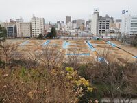 Hamamatsu8.jpg