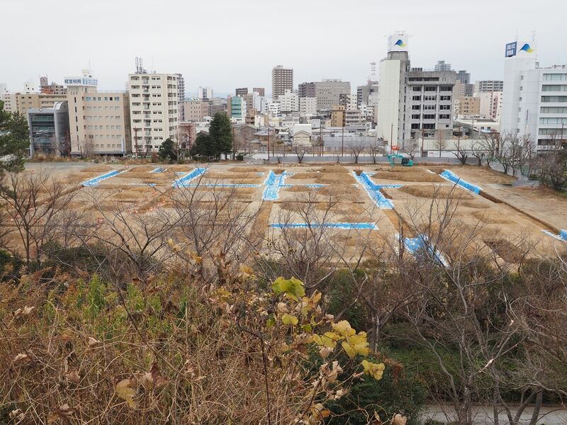 File:Hamamatsu8.jpg