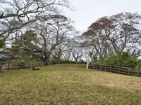 Iwakiri14.jpg