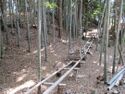 Iwazujou (3).jpg