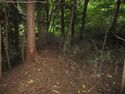 JikouinToride (2).JPG