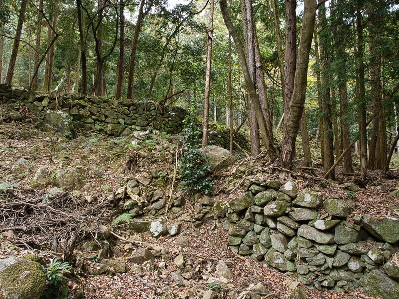 File:Kohyama67.jpg