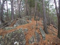 Matsuoko30.jpg