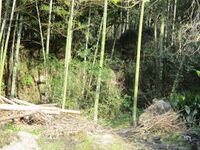 NagasakaYashiki (6).jpg