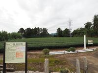 Odawara sogamae34.jpg