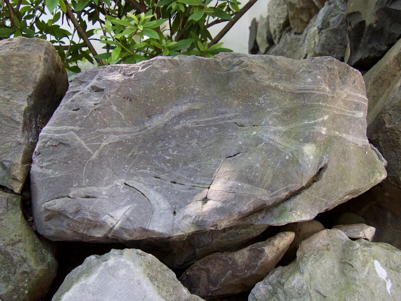 File:Ogaki33.jpg