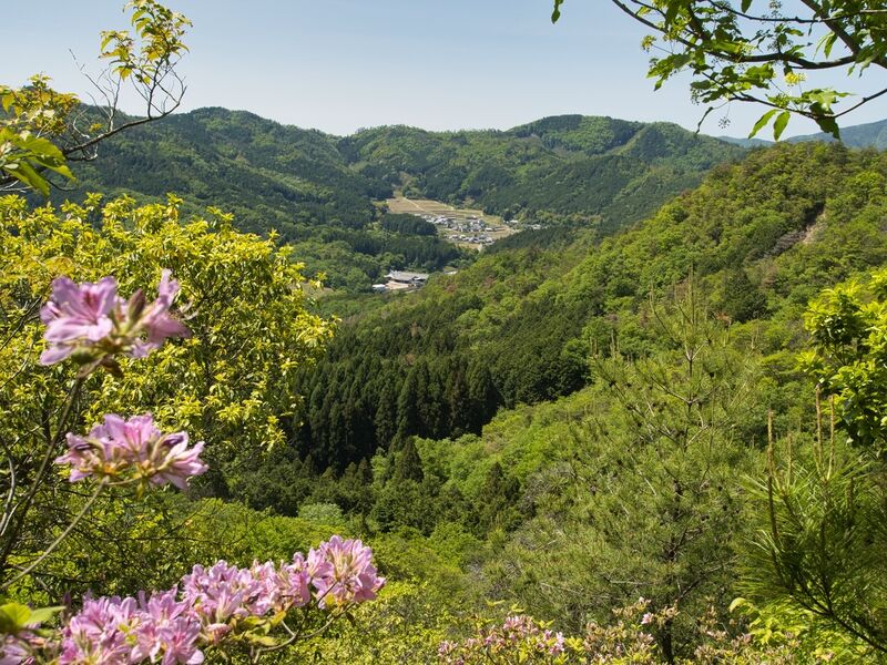 File:Yagitanba15.jpg
