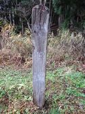 AzumiUzuhashijouA (9).JPG