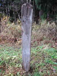 AzumiUzuhashijouA (9).JPG