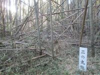 BitchuuKanmuriyamajou (9).JPG