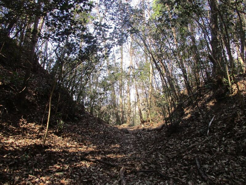 File:Daitajou (15).jpg
