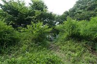 Jindaiji20.jpg