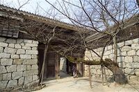 Matsuyama12.jpg