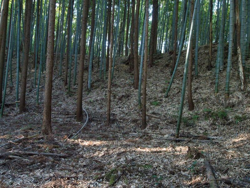 File:Mochizukikoka5.jpg