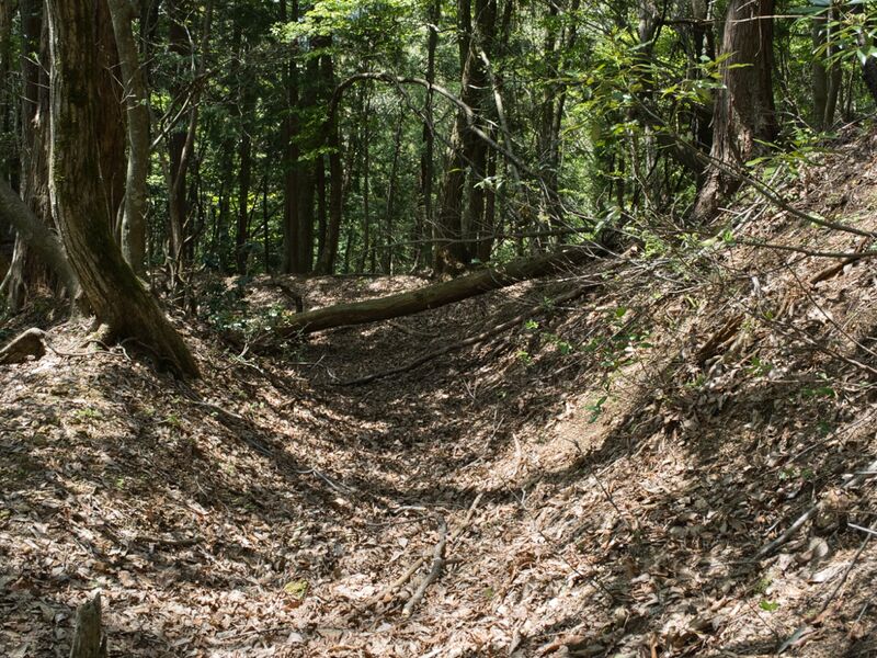 File:Nakataniyama13.jpg