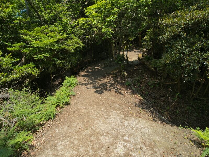 File:Nyoigatake43.jpg
