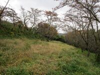 SanadaYazawajou11.JPG