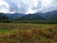 TongariYashiki01.5.JPG