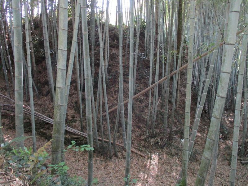 File:TouyaganejouA (4).jpg