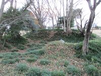 TsukanokoshikofunToride (1).JPG