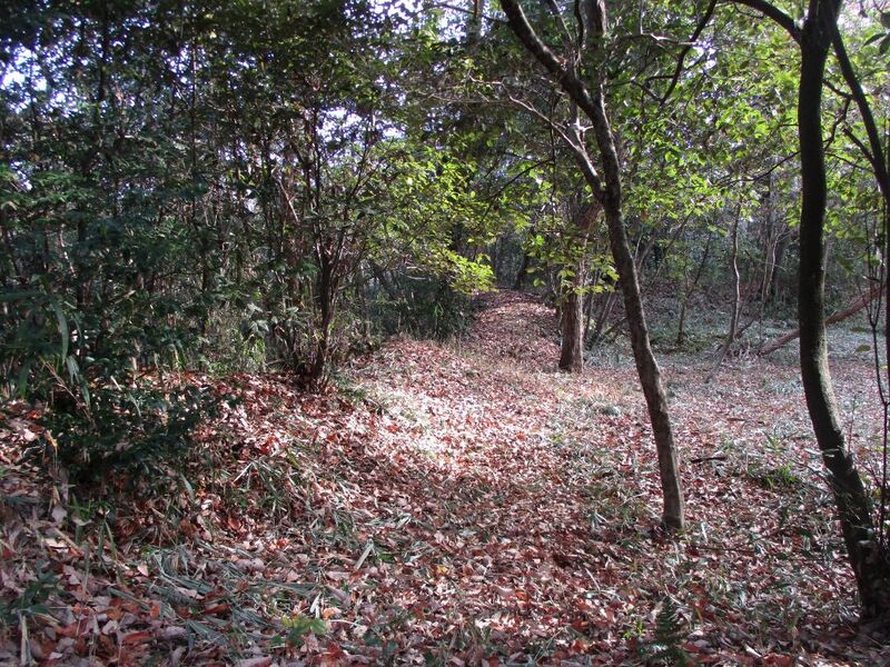 File:Unemejou062.jpg