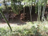 Urizurajou (19).JPG