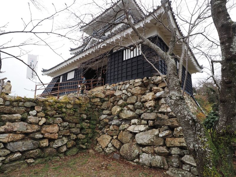 File:Hamamatsu25.jpg