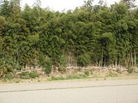 JionjiYakata (4).JPG