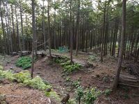 Kannosankyoto26.jpg