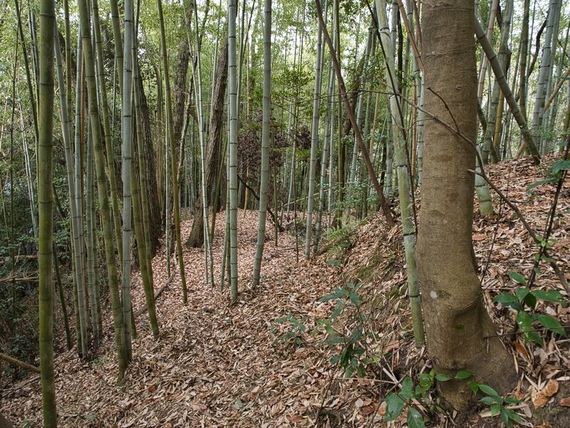 File:Kaseyamakyoto5.jpg