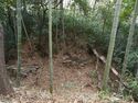 Kaseyamakyoto61.jpg