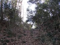 SagamiKomatsujou (3).JPG