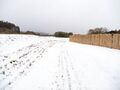 Thumbnail for version as of 10:55, 24 January 2021