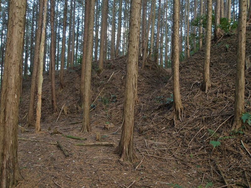 File:Uenokoka16.jpg