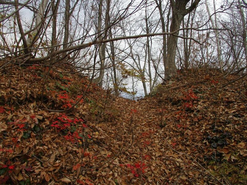 File:AdzumiIidajou (4).jpg