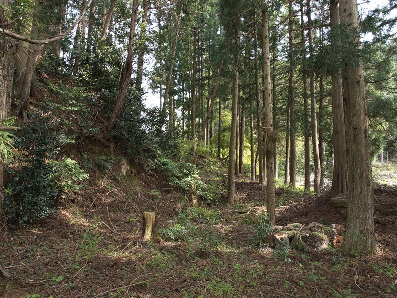 File:Chausuyamashizu2.jpg