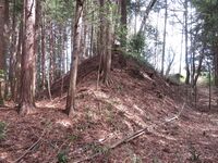 InaSuganumajou (10).JPG