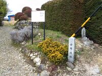 InaYasuokajou (4).JPG