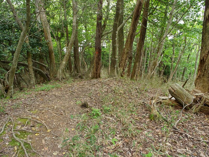 File:Iwasakiyama10.jpg
