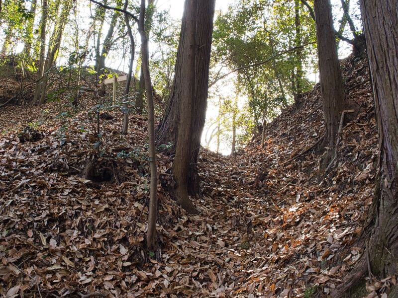 File:Kaseyamakyoto55.jpg