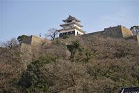 Marugame66.jpg