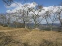 Ogawakoka19.jpg
