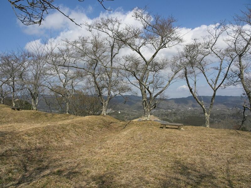 File:Ogawakoka19.jpg