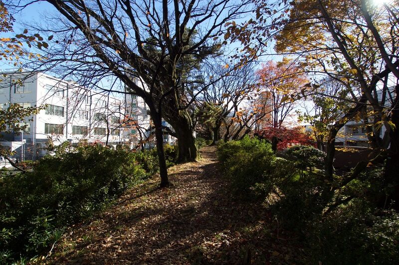 File:Takasaki7.jpg