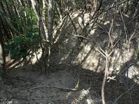 Tedori39.jpg