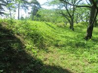 Tenjin'yama (20).JPG