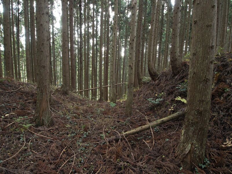 File:Chausudate5.jpg