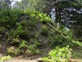 Thumbnail for version as of 16:33, 7 July 2024